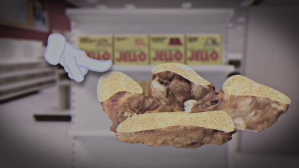 Food Theory - Rainforest Café Lore / Edible Pokémon