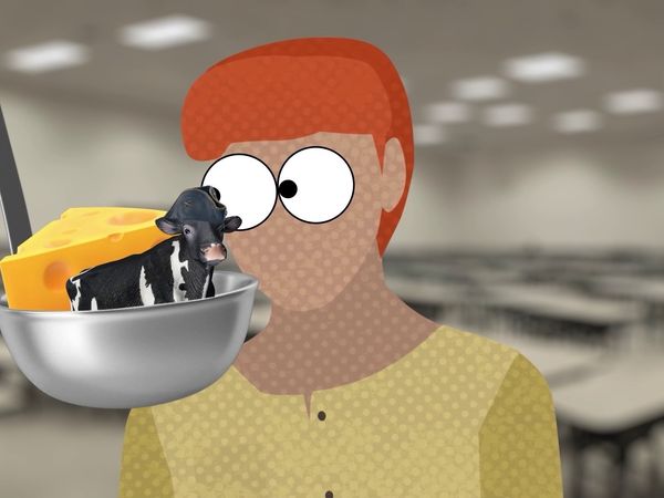 Food Theory - Don't Trust Your School Lunch / Dorito's Rip-Off