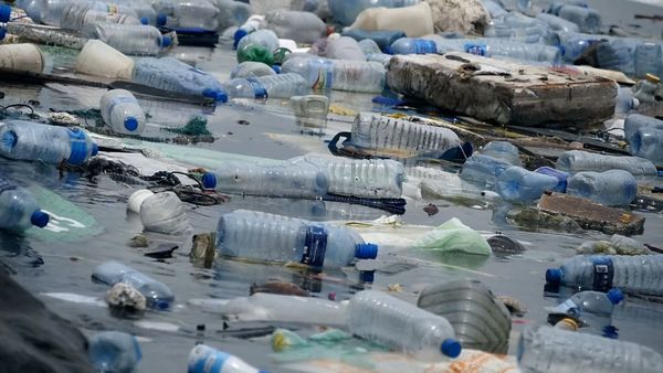 War on Plastic with Hugh and Anita - Episode 1