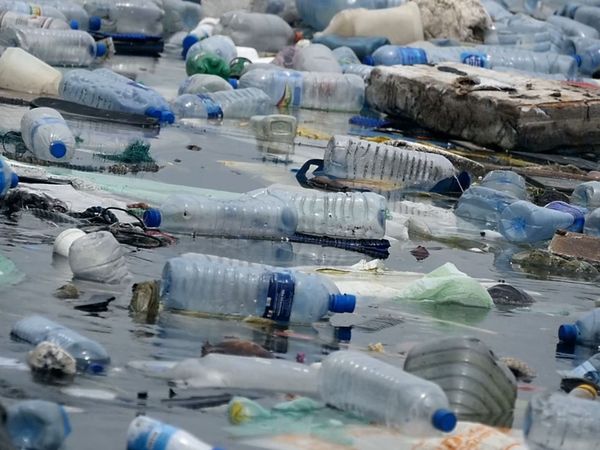 War on Plastic with Hugh and Anita - Episode 1