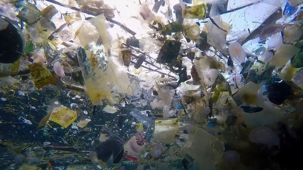 War on Plastic with Hugh and Anita - Episode 4