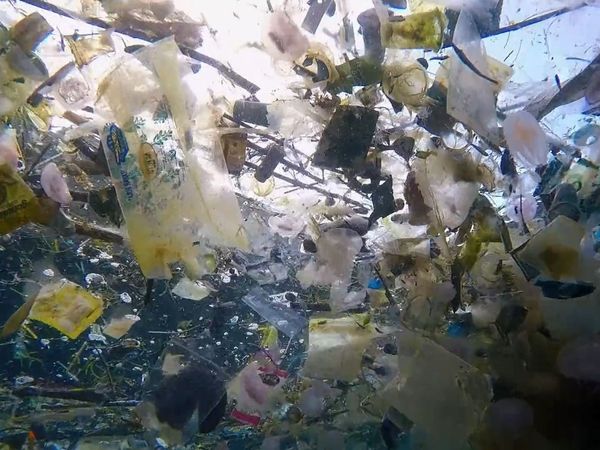 War on Plastic with Hugh and Anita - Episode 4