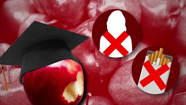 Food Theory - An Apple a Day Can Keep the Doctor Away / The Knockoff Is Better