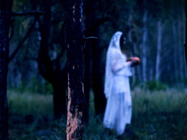 Paranormal Caught on Camera - Episode 409