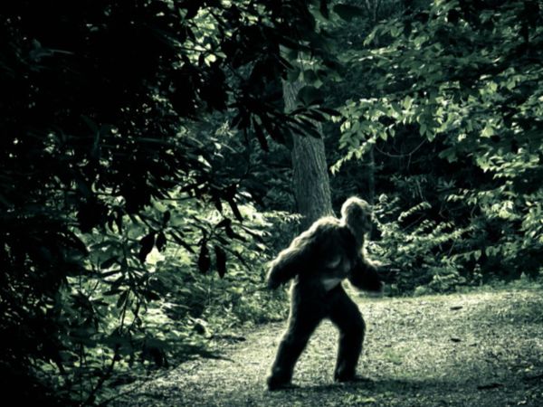 Paranormal Caught on Camera - Episode 422