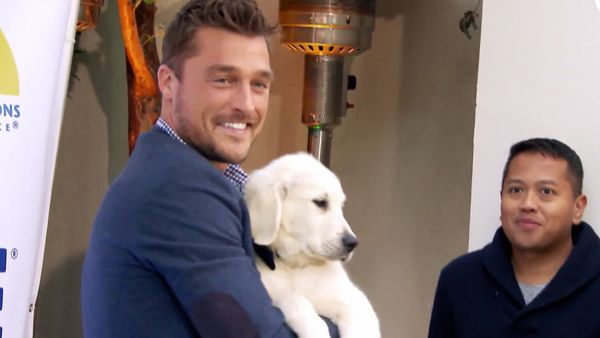 David Tutera's CELEBrations - Ian Ziering