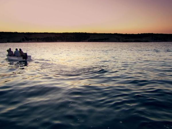 I Shouldn't Be Alive - Muerte en el mar de Cortés