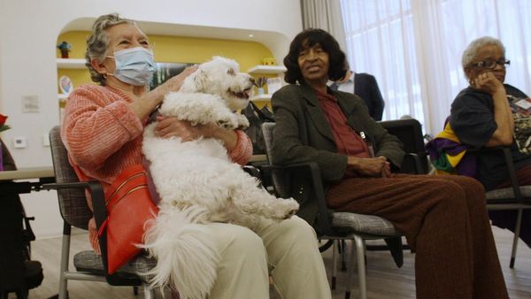 Lucky Dog Reunions - Lizzie Reunion