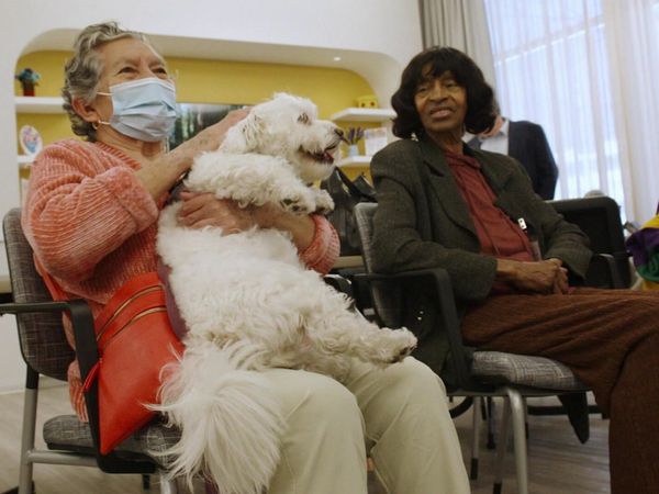 Lucky Dog Reunions - Lizzie Reunion