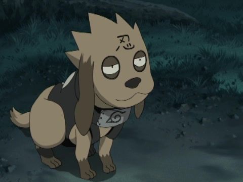 Naruto Shippuden - Aparición del Tres Colas - Los Sentimientos De Todos