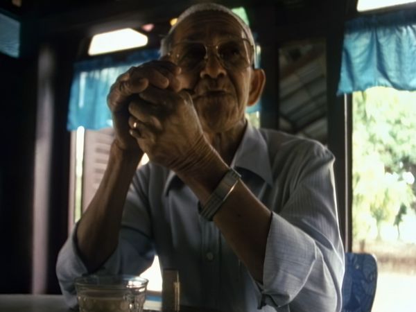 Malesia: mi scusi dov’è la giungla? - Dietro la tigre a dorso d'elefante