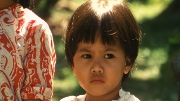 Malesia: mi scusi dov’è la giungla? - Teste d'orango e uova di testuggine