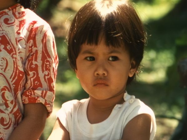 Malesia: mi scusi dov’è la giungla? - Teste d'orango e uova di testuggine