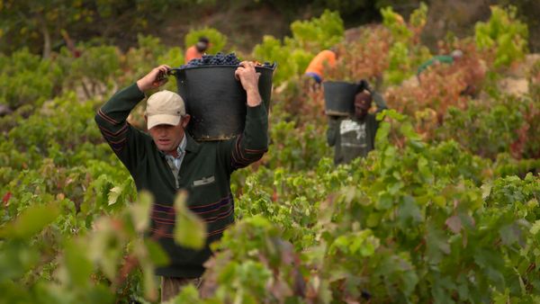Great Inventions - Wine
