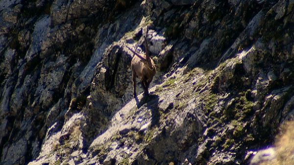 Alla scoperta della natura - Mont Avic, la montagna d'acqua