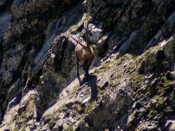 Alla scoperta della natura - Mont Avic, la montagna d'acqua