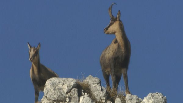 Alla scoperta della natura - Ritorno all'ombelico d'Italia