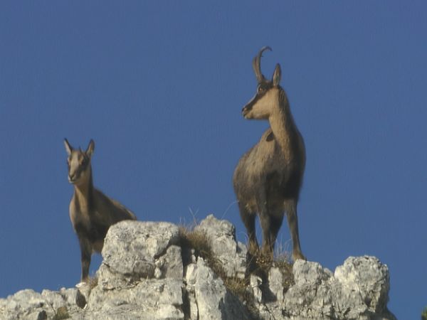 Alla scoperta della natura - Ritorno all'ombelico d'Italia