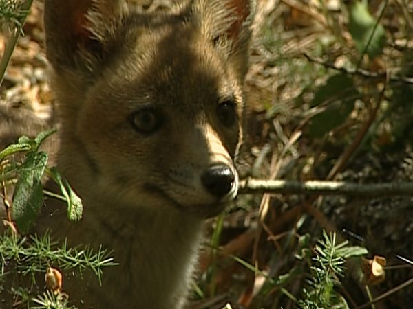 Alla scoperta della natura - Circeo, natura e magia