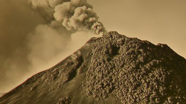 Alla scoperta della natura - Tra incudine e martello