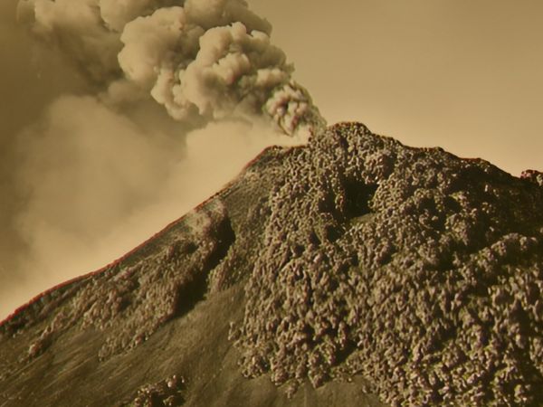 Alla scoperta della natura - Tra incudine e martello