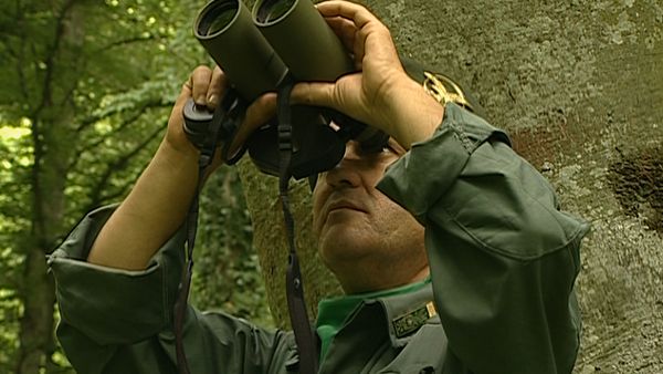 Alla scoperta della natura - Lo sperone dello stivale