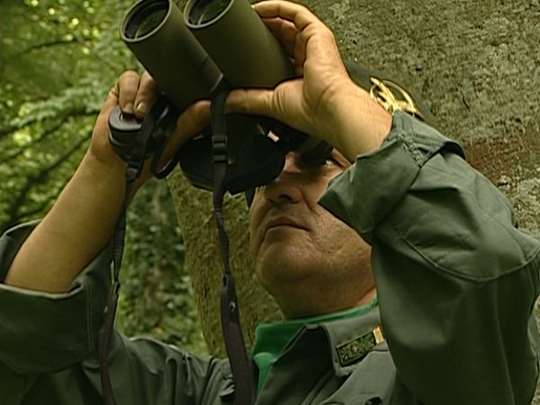 Alla scoperta della natura - Lo sperone dello stivale