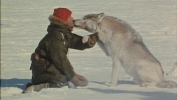 Bellezza selvaggia - Gli animali e l'uomo