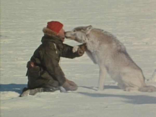 Bellezza selvaggia - Gli animali e l'uomo