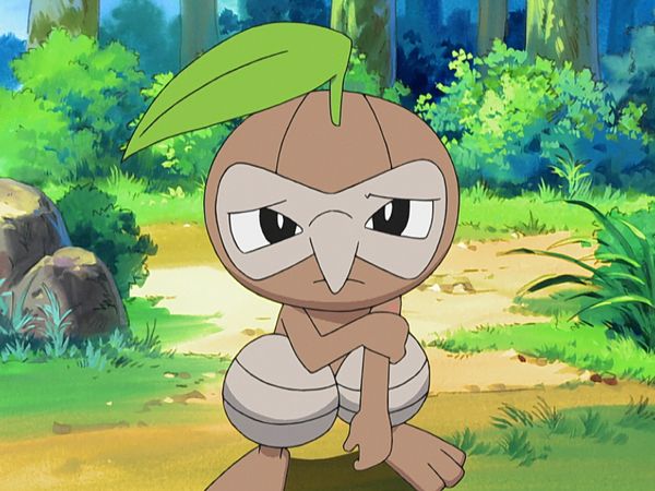 Pokémon: Diamante y Perla - Brock Lo Puede Todo!