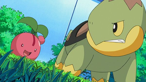 Pokémon: Diamante y Perla - Reserva De Pokémon De Hierba!