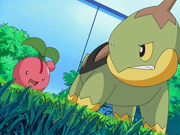 Pokémon: Diamante y Perla - Reserva De Pokémon De Hierba!