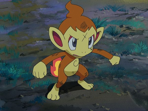 Pokémon: Diamante y Perla - Llamarada De Gloria!