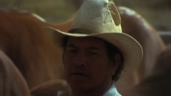 Gli ultimi grandi cavalieri - Il paese dei Cowboy