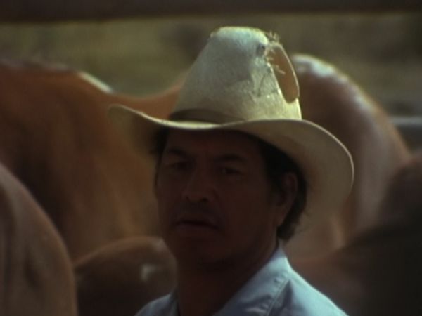 Gli ultimi grandi cavalieri - Il paese dei Cowboy