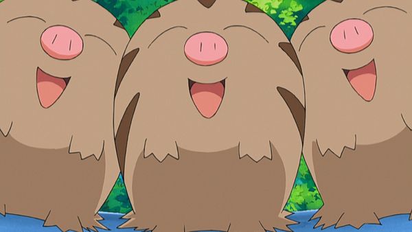 Pokémon: DP Battle Dimension - ¡La fuente termal se ha secado!