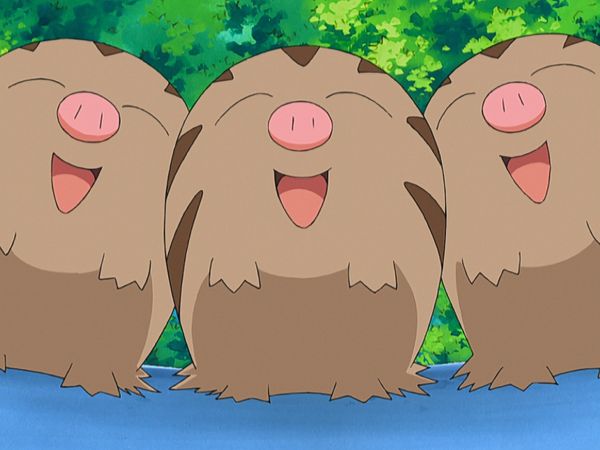 Pokémon: DP Battle Dimension - ¡La fuente termal se ha secado!