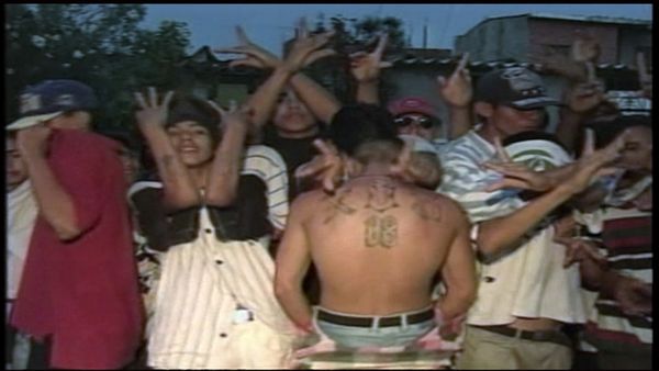 Gang World - MS-13