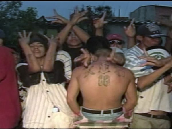 Gang World - MS-13