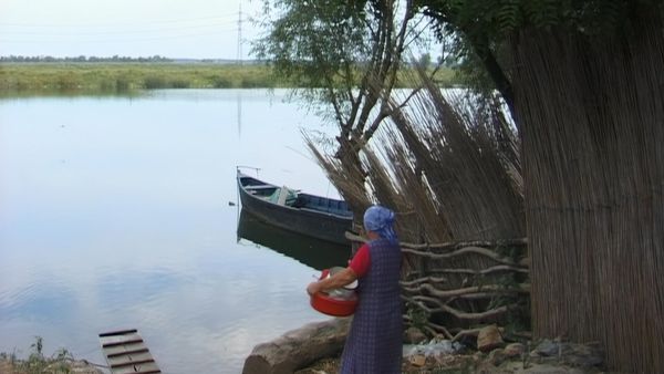 Alla scoperta della natura - I delta Europei
