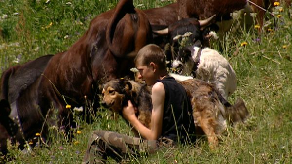 Alla scoperta della natura - L'arcaica vita della famiglia Girod
