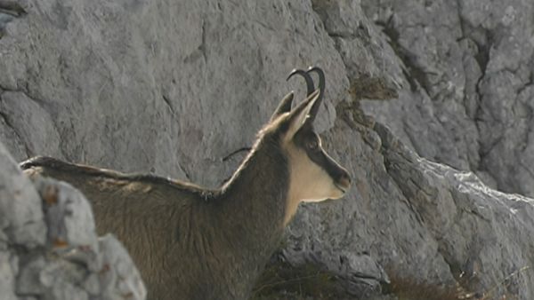 Alla scoperta della natura - Da Cortina con amore