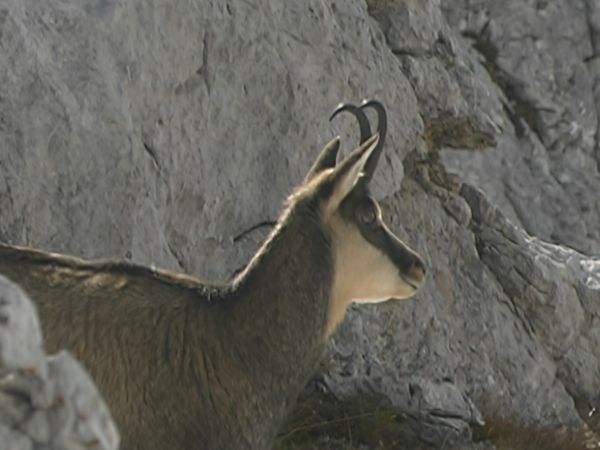 Alla scoperta della natura - Da Cortina con amore
