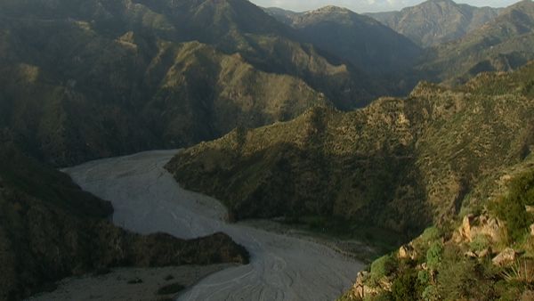 Alla scoperta della natura - Mi chiamano Aspromonte