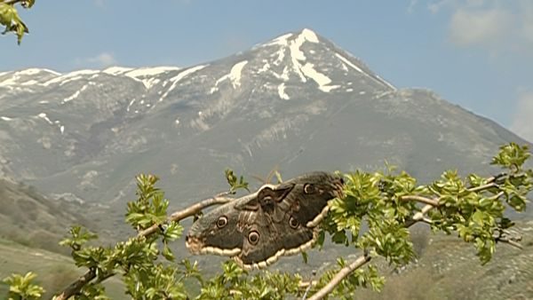 Alla scoperta della natura - Sulle tracce dell'orso