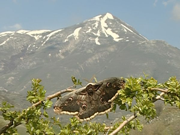 Alla scoperta della natura - Sulle tracce dell'orso