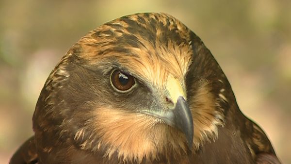 Alla scoperta della natura - Sinis: acqua terra e rosso porpora