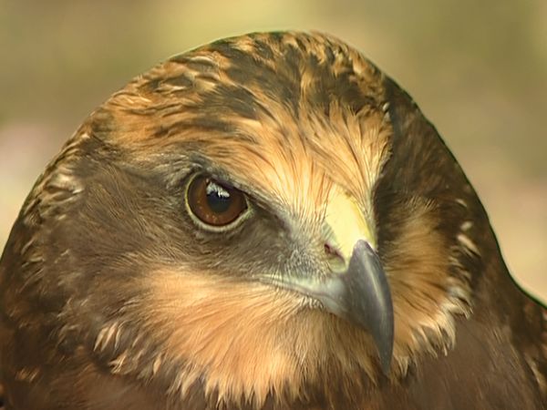 Alla scoperta della natura - Sinis: acqua terra e rosso porpora