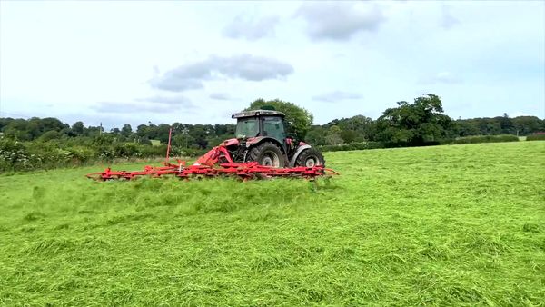 Sky and Finn - Farm Vehicle Fun