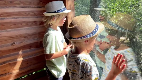 Sky and Finn - Learning About Animals